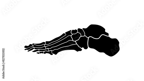 foot bones, black isolated silhouette photo
