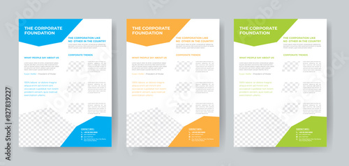 Corporate Business Flyer template layout 3 color design concept in the template.