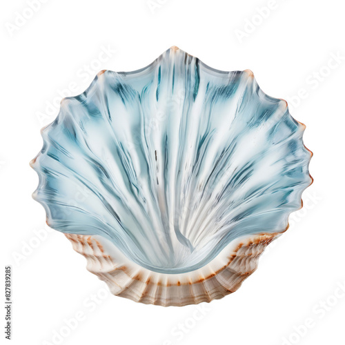 ai-generated item, rare, odd, high, shell shaped ice mold for coastal inspired cocktails close up k uhd very detailed high qua, shell, sea,  photo