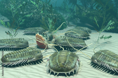 
A 3D illustration of a group of the extinct Trilobite Paradoxides scavenging on a carcass 500 million years ago. photo