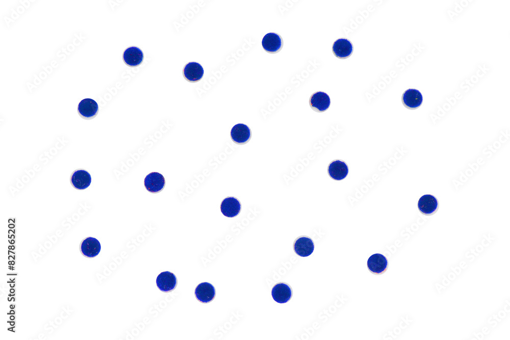 blueberries laid out in a pattern Isolated on A Transparent Background