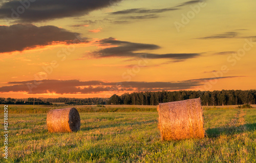 Countryside agriculture landscape with harvested cereals and haystacks on the...