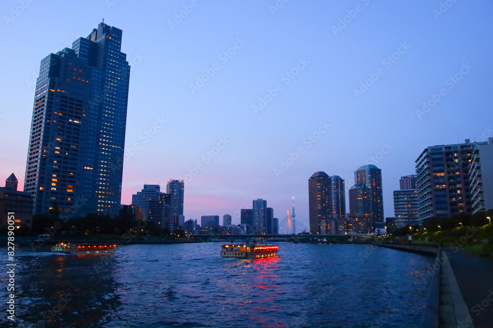 Fototapeta premium 東京都 隅田川の佃大橋と高層ビル群