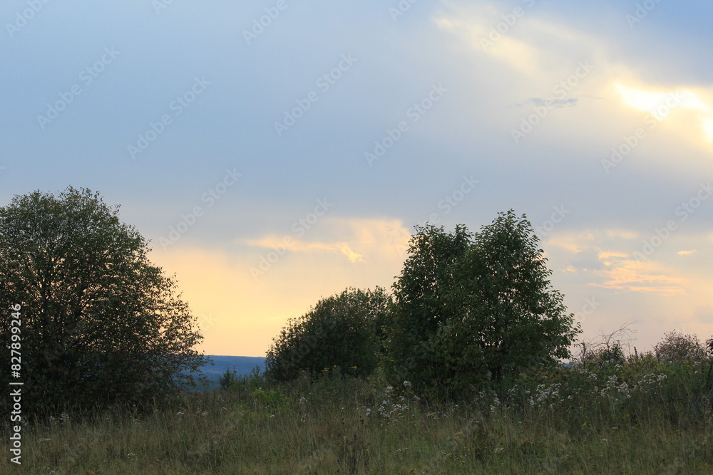 Obraz premium sunset in the forest