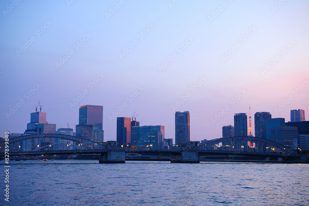 Naklejka premium 東京都 隅田川の勝鬨橋と街並み