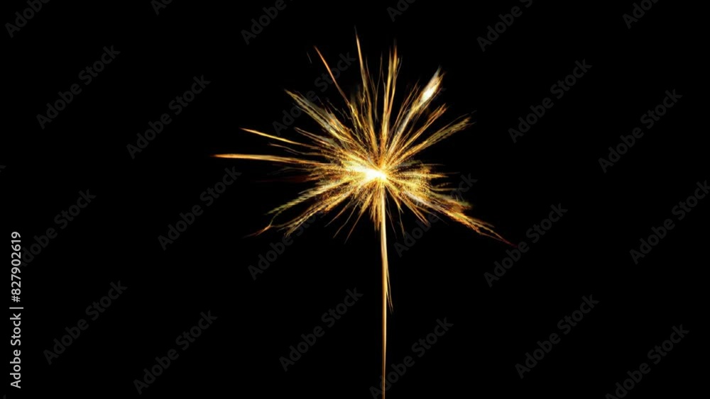 Bengal fire. New year sparkler candle. slow motion video of sparklers illuminating with golden glow on black, ideal for festive events and celebration backgrounds Bengal fire. New year sparkler candle. slow motion video of sparklers illuminating with golden glow on black, ideal for festive events and celebration backgrounds