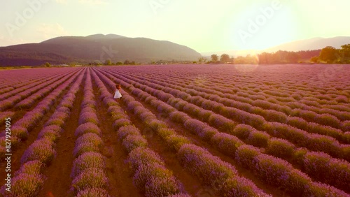 Happy Young Beautiful Woman Running Through Lavender Field White Dress Independence Happiness Freedom Joy Peace Concept UHD 4K photo