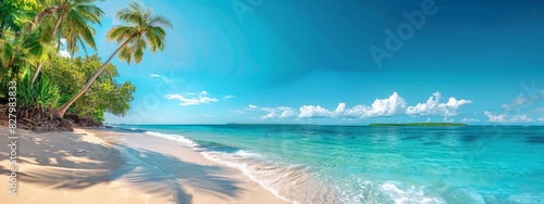 Panorama beach with palm trees and clouds in the sky