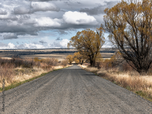 Stormy Landscape of Eastern Oregon Wilderness near Alvord Desert photo