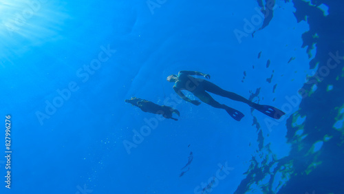UNDERWATER BOTTOM UP: Lady and dog swimming together on the surface of stunningly beautiful blue Adriatic Sea. Fit young woman enjoys in refreshing water with her canine companion on summer vacation.