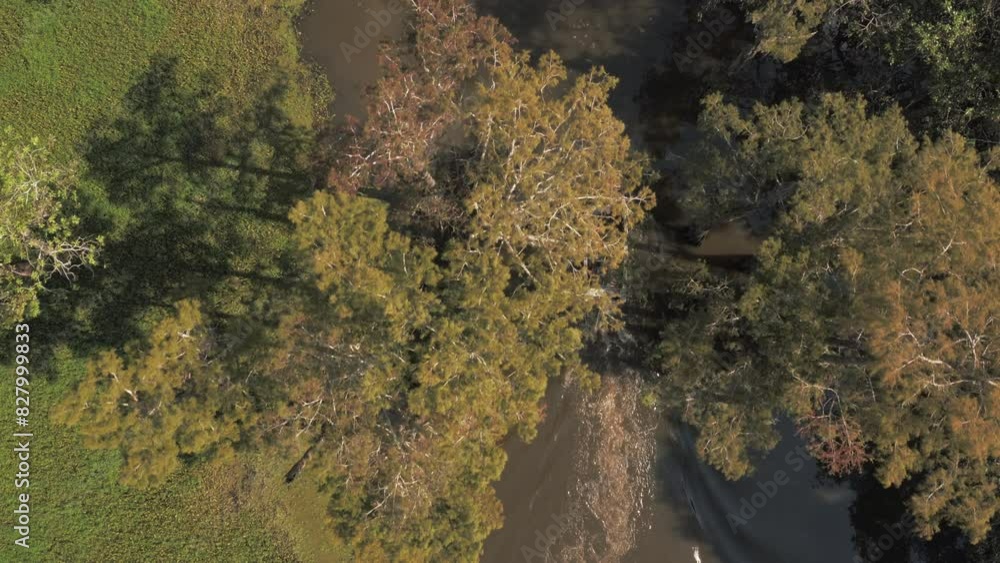 Aerial Top Forward Shot Of Men In Nautical Vessel Moving On River In Green Forest During Sunny Day - Bayou Vista, Texas Aerial Top Forward Shot Of Men In Nautical Vessel Moving On River In Green Forest During Sunny Day - Bayou Vista, Texas