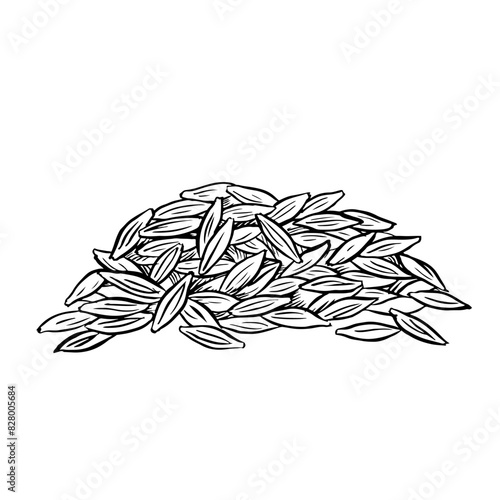 A handful of grains of wheat, barley and grain malt. For a poster about the beer or whiskey production process at the brewery. Vector vintage illustration with engraving. A hand-drawn design element.