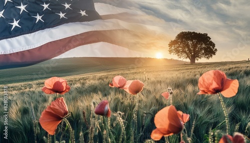 Red poppy flowers on background with United states flag. Liberation day holiday. Festa della photo