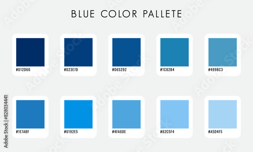 Vector Blue Color Pallete Collection