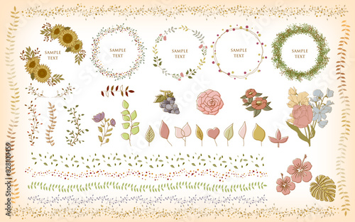 ボタニカルな植物のフレームセット botanical floral branch and logo. wedding frame. Botanical rustic greenery.