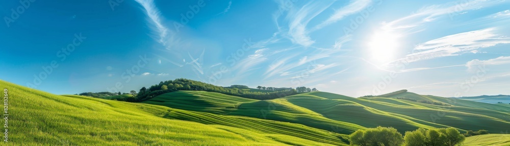 Sunny Hills with Lush Green Fields and Blue Sky