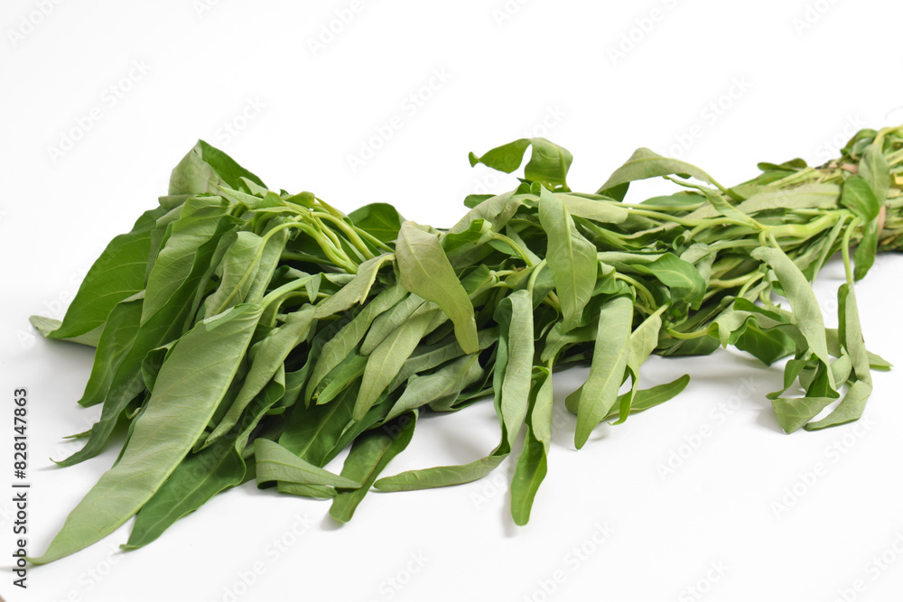 Hand holding Fresh water spinach isolated on white background. Hand holding Fresh water spinach isolated on white background.