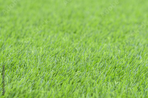 Obraz na płótnie Artificial green grass w salonie