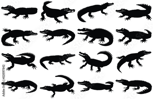 Alligator Black Vector Silhouette on white background  Crocodile Vector Illustration.  Wild Animals. Reptile.