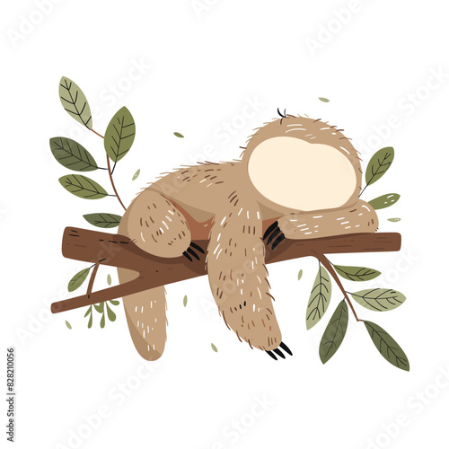 wild sloth camouflaged against the rainforest foliage while sleeping