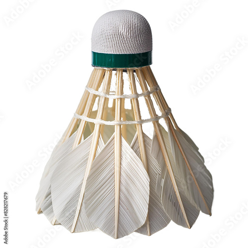 badminton racket and shuttlecock