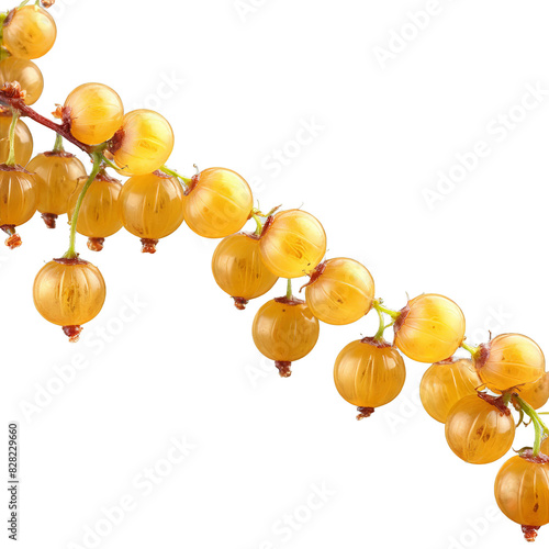 Sweet gooseberries cascading translucent skin glistening stems twisting midair Ribes uva crispa Food and Culinary photo