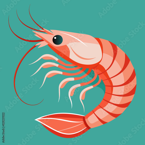  Shrimp with Sea Animals