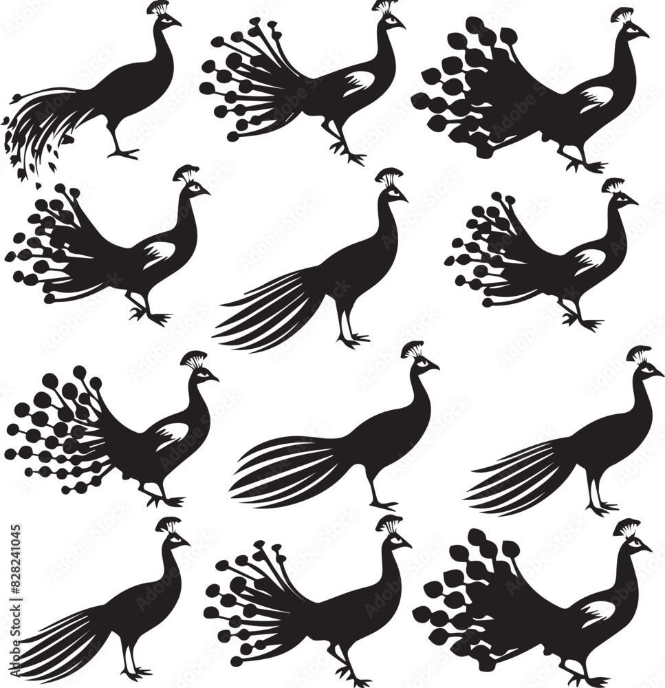 Fototapeta premium Set of Peacock black silhouette