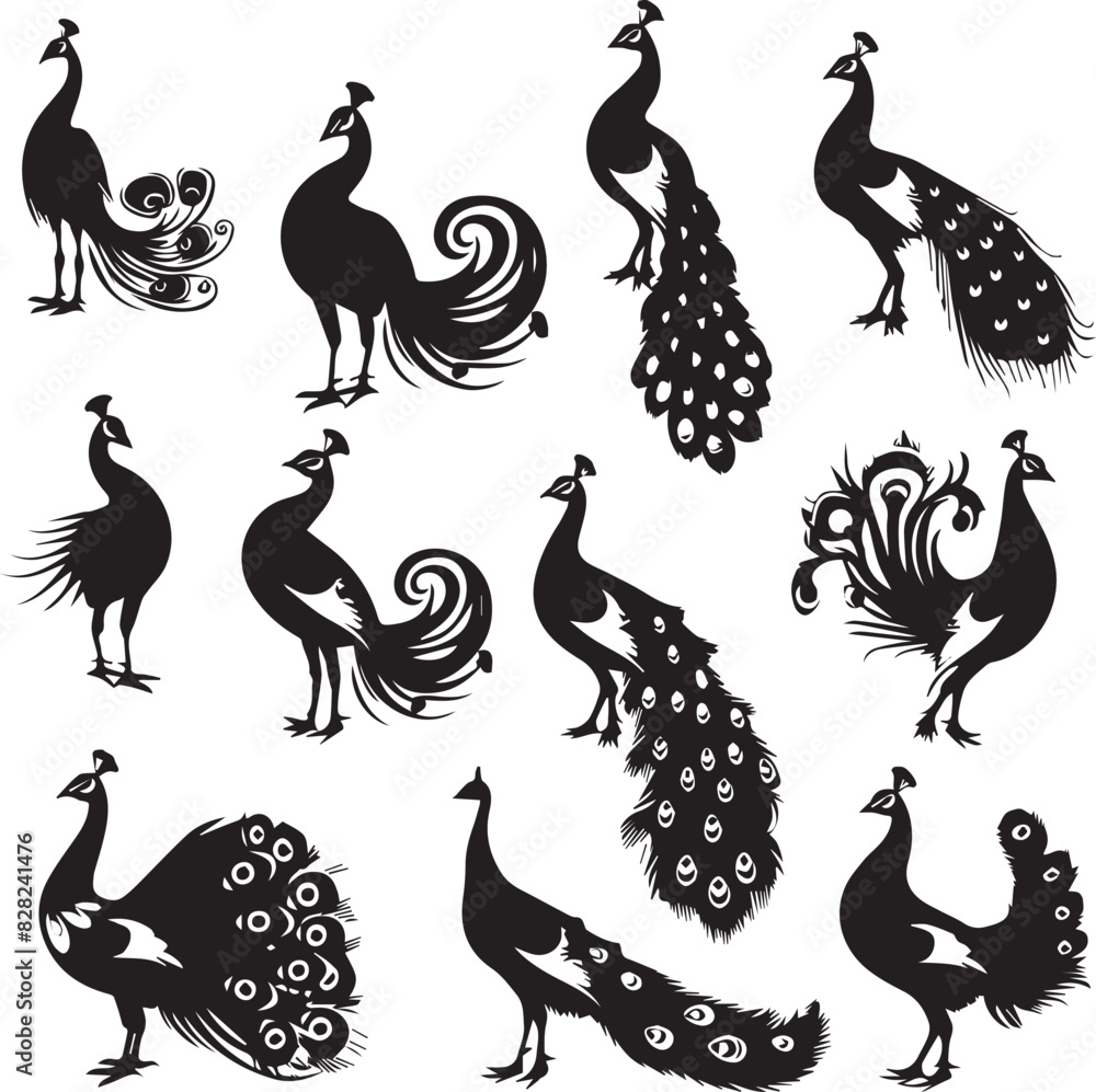 Naklejka premium Set of Peacock black silhouette