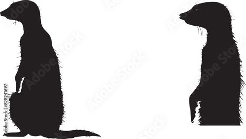 Photography Black Market white background