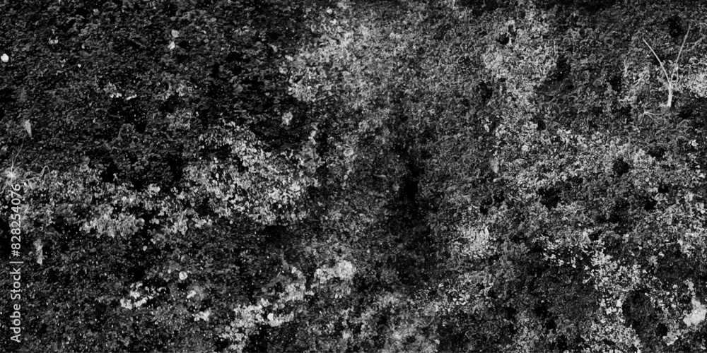 Fototapeta premium Black and white abstract grunge old concrete wall texture stain isolated overlay decorative vintage background.
