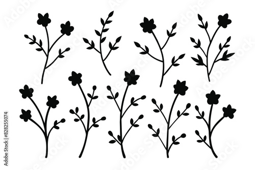 Set of hand drawn branches and flowers black vector on white background © mobarok8888
