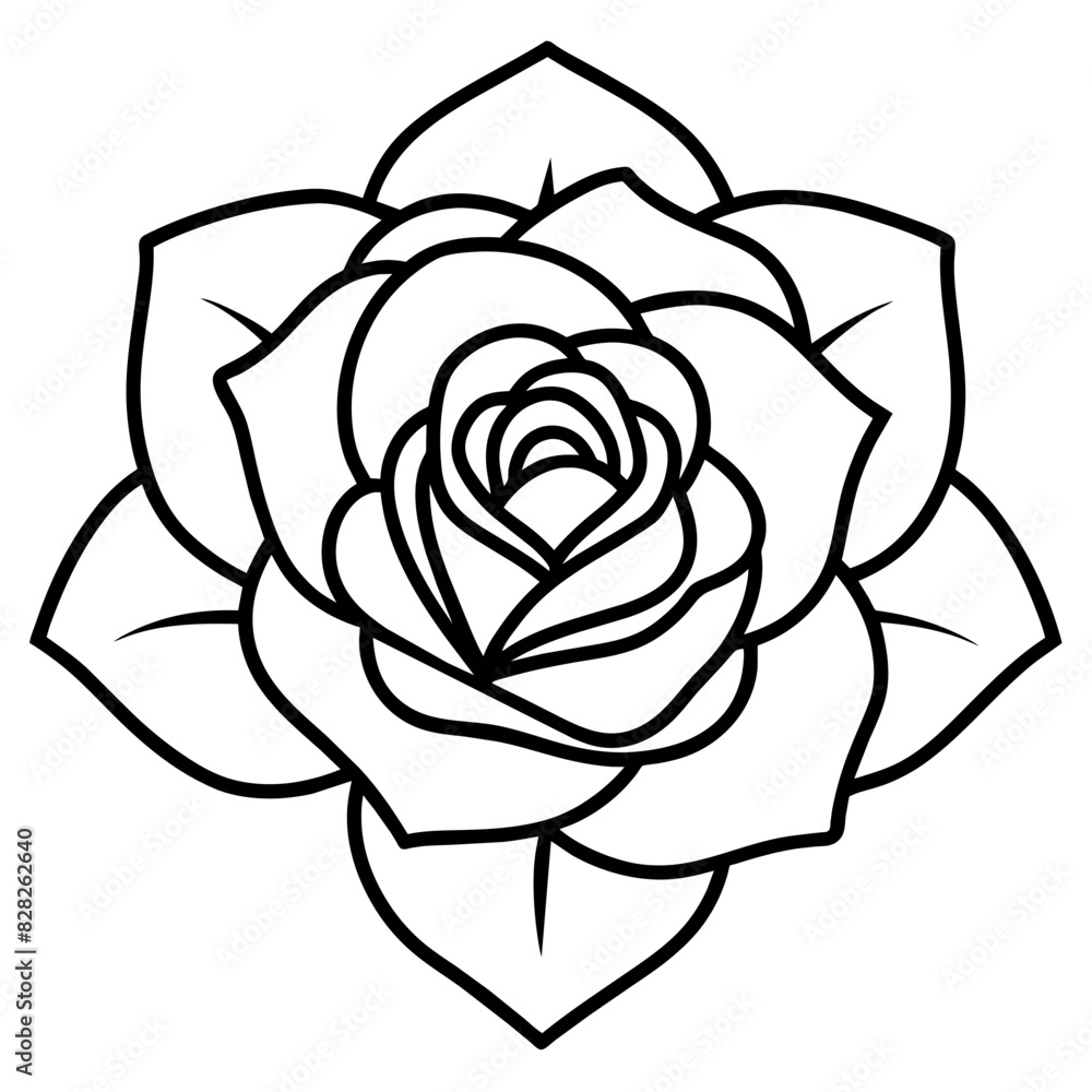 Set of hand drawn rose vector. Set of hand drawn rose vector.