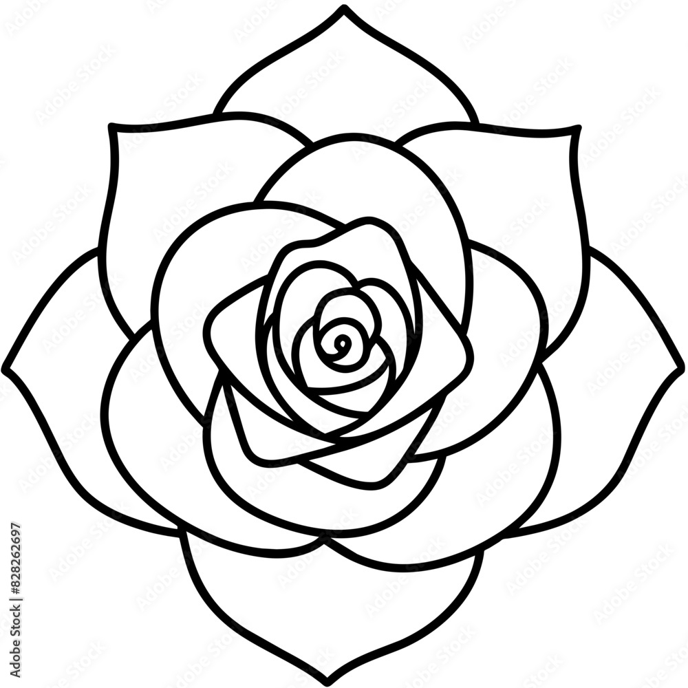 Set of hand drawn rose vector. Set of hand drawn rose vector.