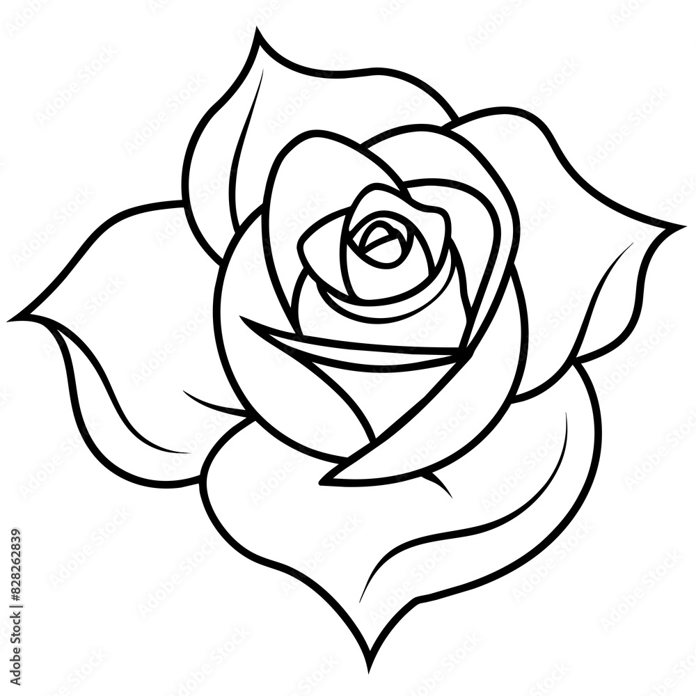 Set of hand drawn rose vector. Set of hand drawn rose vector.