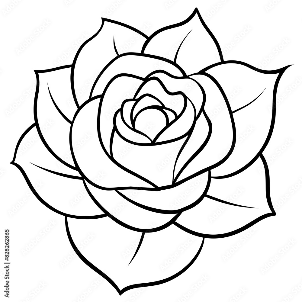 Set of hand drawn rose vector. Set of hand drawn rose vector.