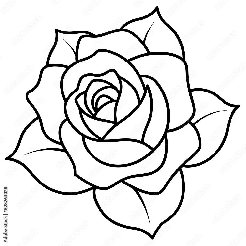 Set of hand drawn rose vector. Set of hand drawn rose vector.