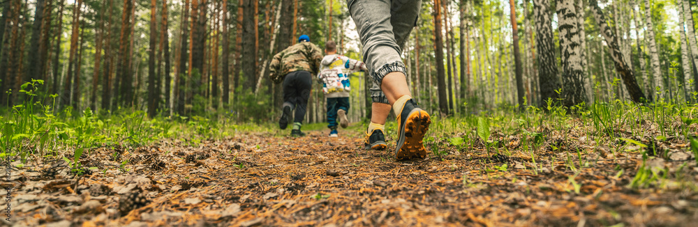 walk in forest walk in forest
