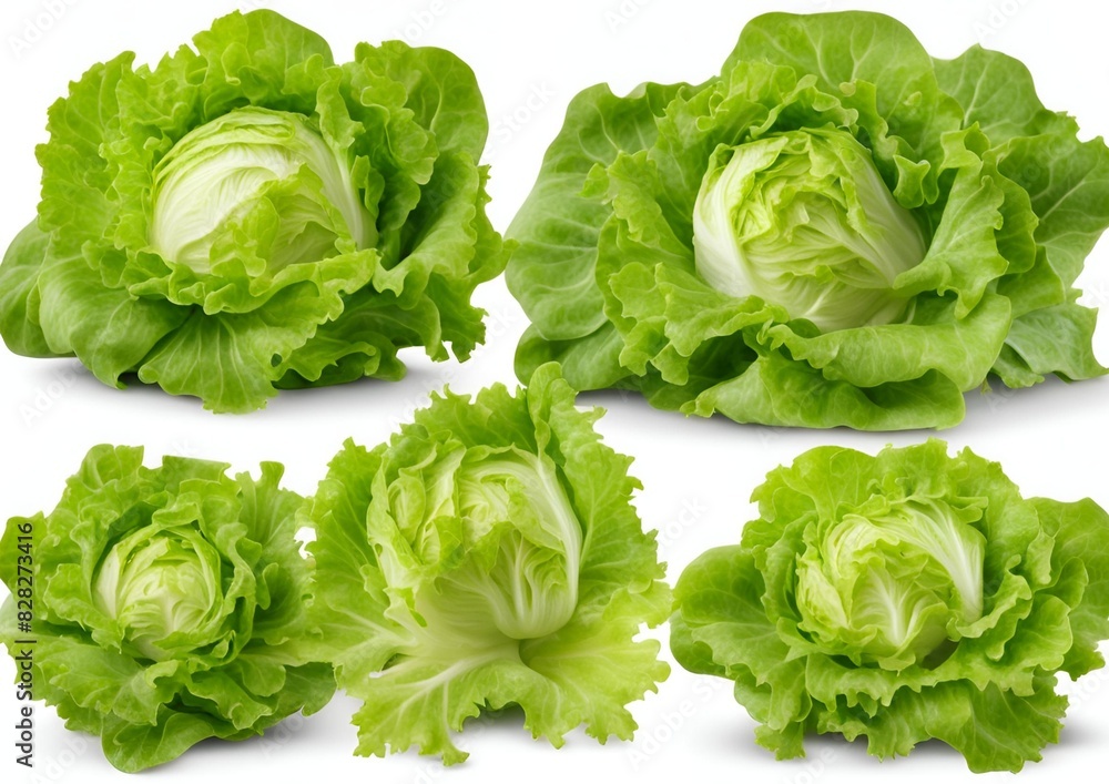 Lettuce isolated on a white background with a clipping path. Lettuce isolated on a white background with a clipping path.