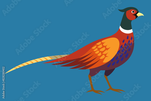 bird vector illustration