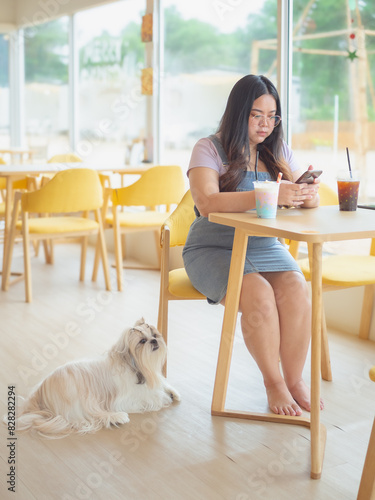 Cute Shih Tzu dog cheerful and enjoy in coffee shop cafe with owner