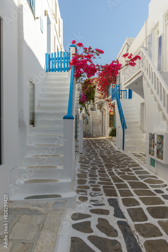 Traditional Cycladitic alley with a narrow street with a full blooming bougainvillea in Mykonos island, cyclades, Greece © valantis minogiannis