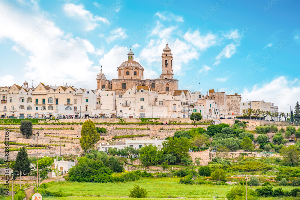 Fototapeta premium Locorotondo white town skyline, Brindisi, Apulia Italy. Europe.