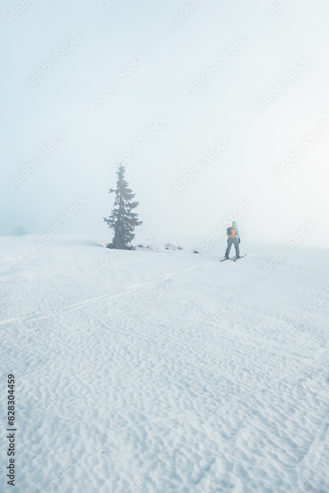 Mountaineer backcountry ski walking ski alpinist in the mountains. Ski touring in alpine landscape with snowy trees. Adventure winter sport. Low Tatras, slovakia