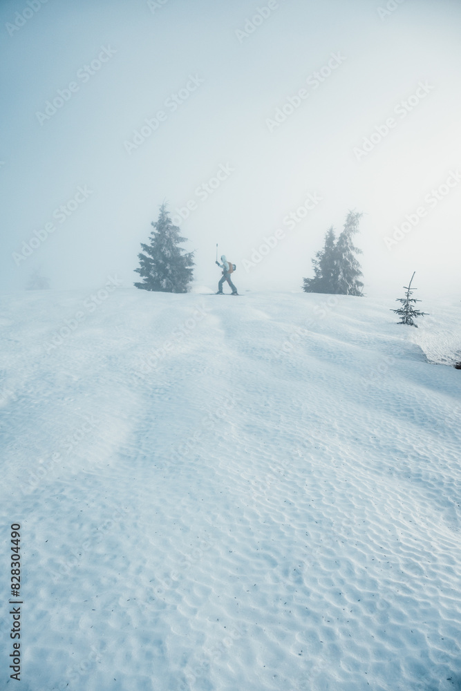 Fototapeta premium Mountaineer backcountry ski walking ski alpinist in the mountains. Ski touring in alpine landscape with snowy trees. Adventure winter sport. Low Tatras, slovakia