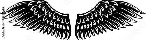 Angel, eagle, hawk or falcon bird wings feather wing pair set illustration in a vintage woodcut style