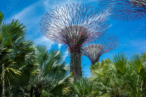 シンガポールのガーデンズ・バイ・ザ・ベイ
