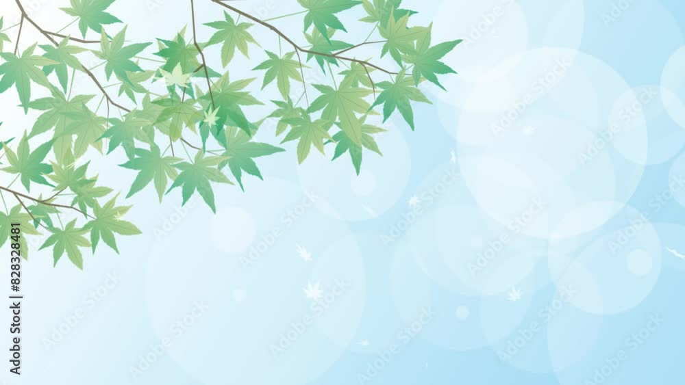 夏の涼しいもみじ新緑背景
