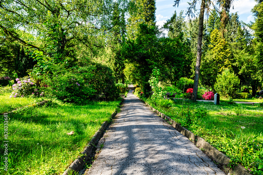 Hauptweg über den Mettmanner Friedhof Hauptweg über den Mettmanner Friedhof