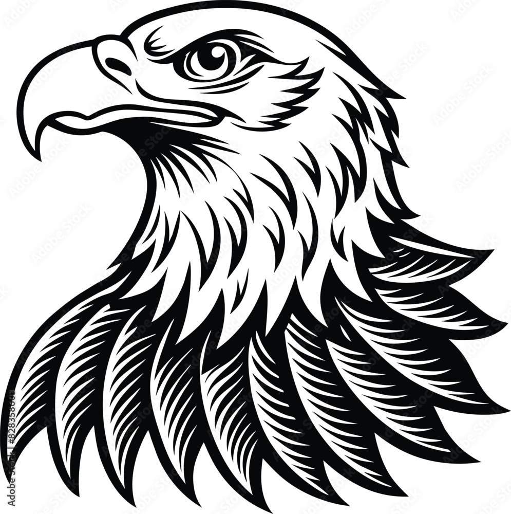 Obraz premium American eagle Eagle Vector illustration